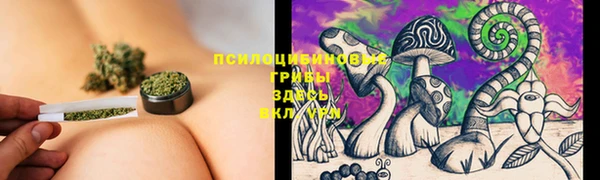 ПСИЛОЦИБИНОВЫЕ ГРИБЫ Абаза