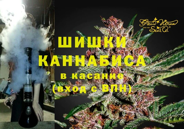 ПСИЛОЦИБИНОВЫЕ ГРИБЫ Абаза