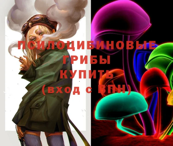 ПСИЛОЦИБИНОВЫЕ ГРИБЫ Абаза
